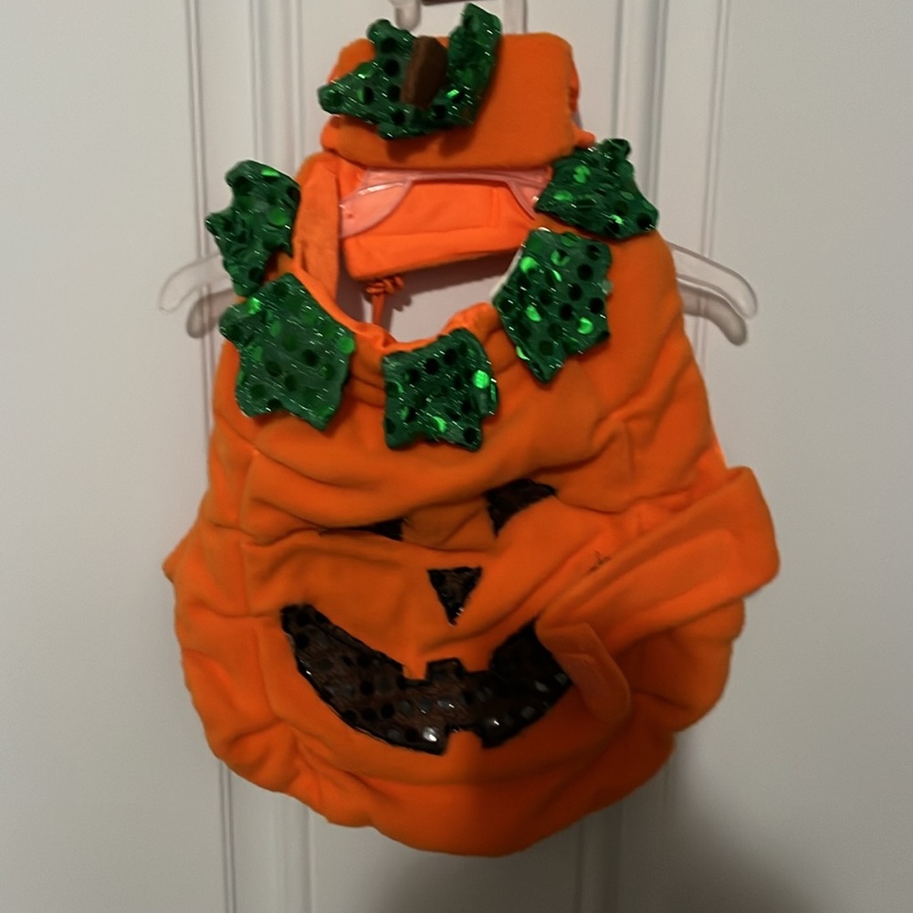 Dog Wardrobe 🌸 - Picture 3 of 7